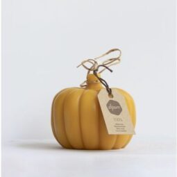 bijenwaskaars in de vorm van een dennenappel 1 kaars (kopie)