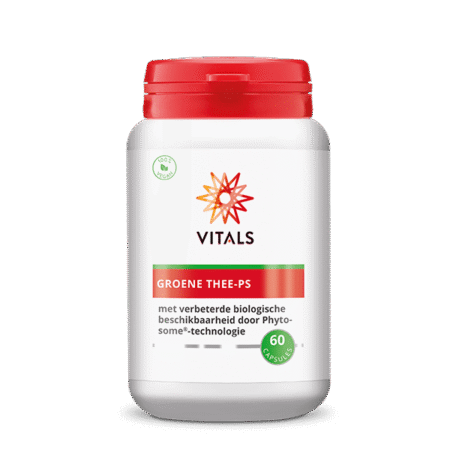 vitals groene thee ps 60 capsules