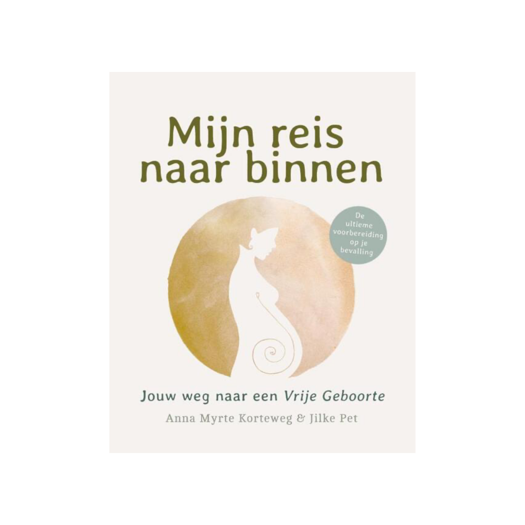 Mijn reis naar binnen Anna Myrte Korteweg