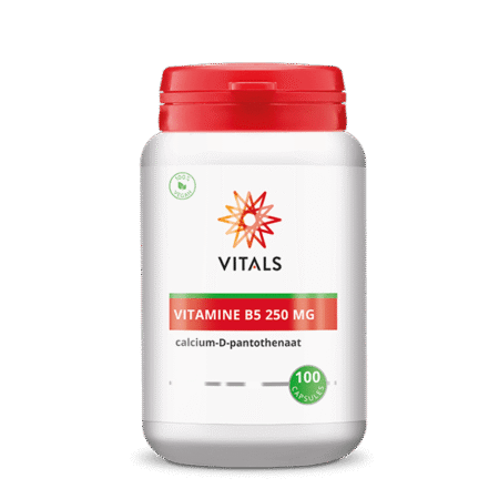 vitals vitamine b5 250 mg 100 capsules